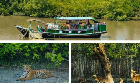 Sundarban tour