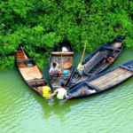 Sundarban trip